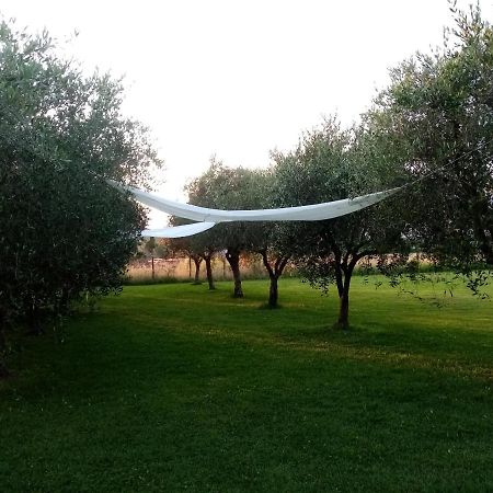 Vecchio Casale Margherita Камайоре Екстериор снимка