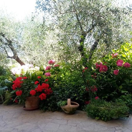 Vecchio Casale Margherita Камайоре Екстериор снимка